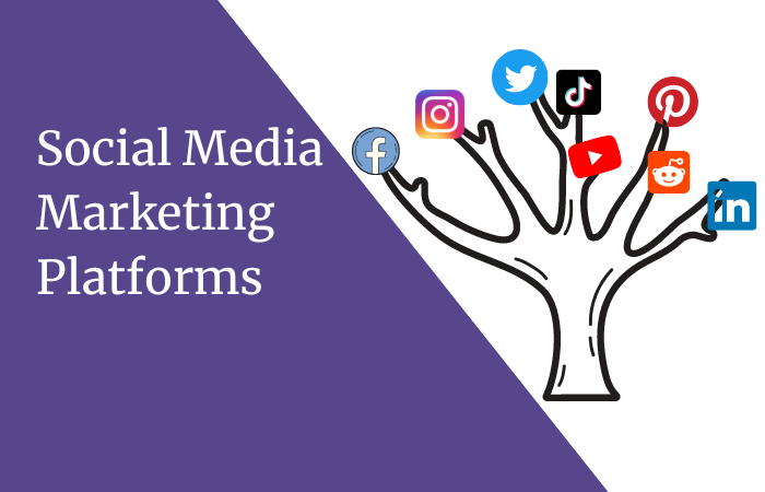 Social media marketing platforms
